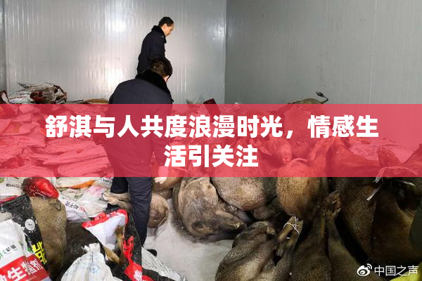 舒淇与人共度浪漫时光，情感生活引关注