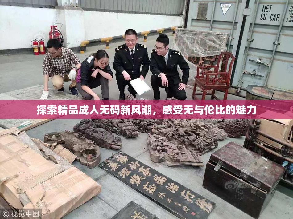 探索精品成人无码新风潮，感受无与伦比的魅力