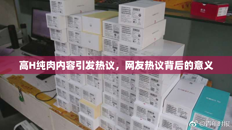 高H纯肉内容引发热议，网友热议背后的意义