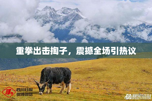 重拳出击掏子，震撼全场引热议