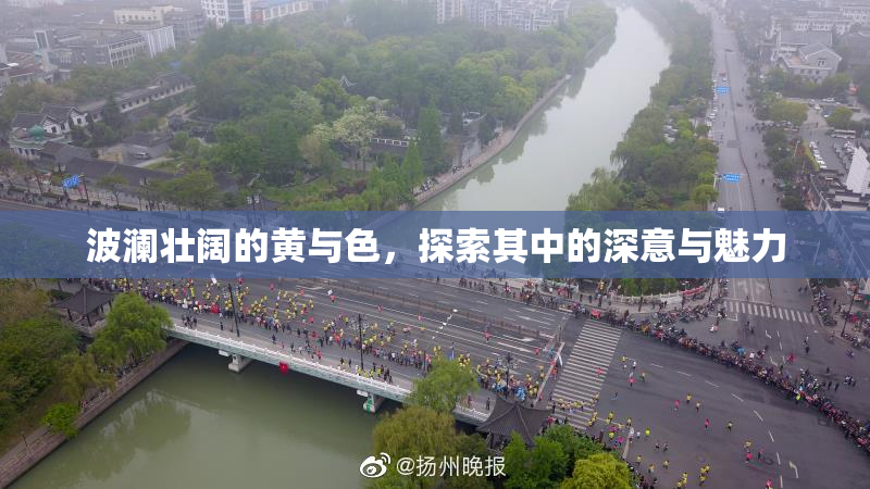 波澜壮阔的黄与色，探索其中的深意与魅力