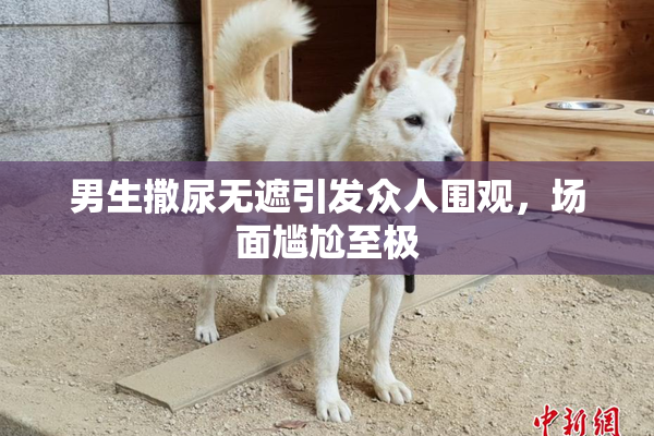男生撒尿无遮引发众人围观，场面尴尬至极