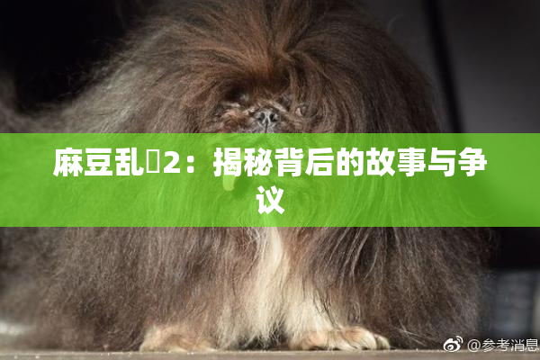 麻豆乱婬2：揭秘背后的故事与争议