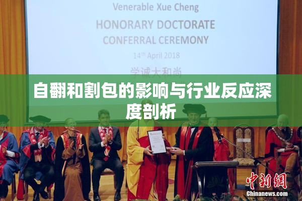 自翻和割包的影响与行业反应深度剖析