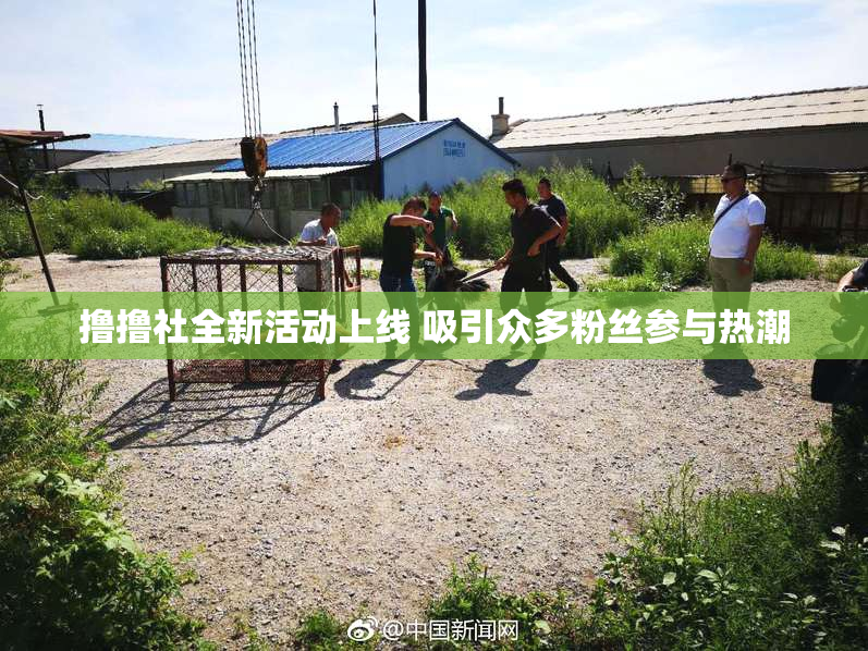 撸撸社全新活动上线 吸引众多粉丝参与热潮