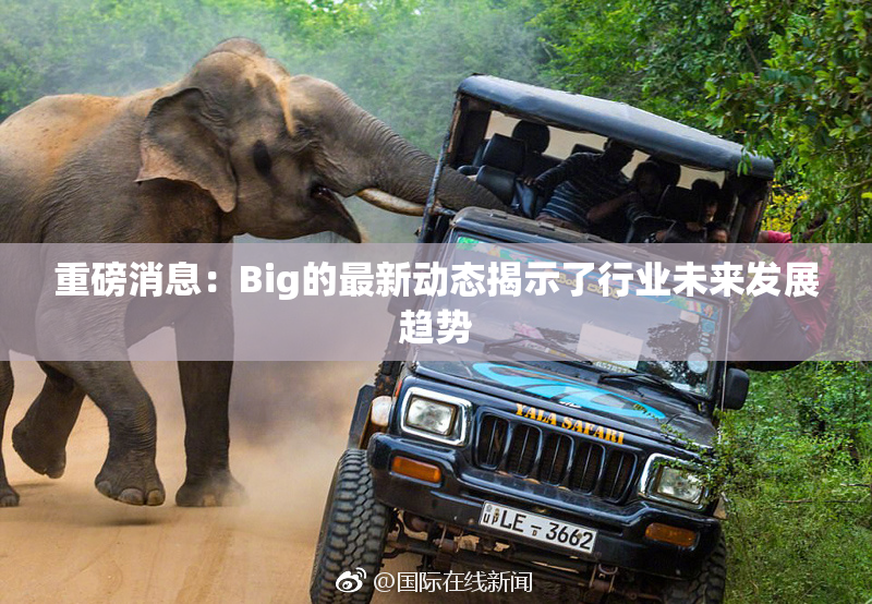 重磅消息：Big的最新动态揭示了行业未来发展趋势