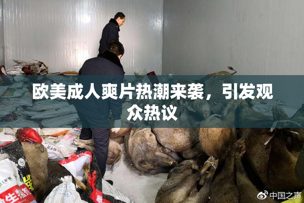 欧美成人爽片热潮来袭，引发观众热议