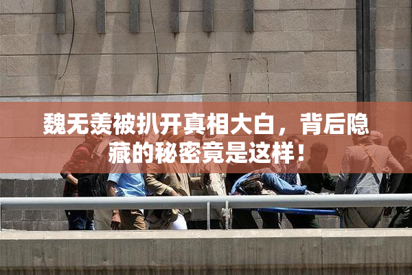 魏无羡被扒开真相大白，背后隐藏的秘密竟是这样！