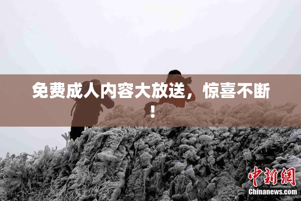 免费成人内容大放送，惊喜不断！