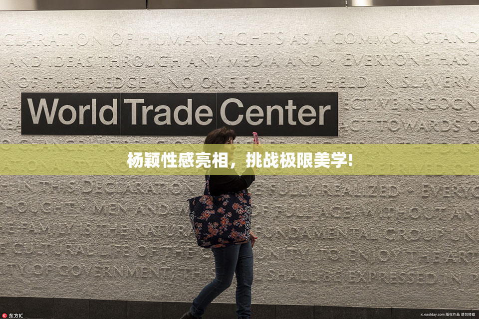 杨颖性感亮相，挑战极限美学!