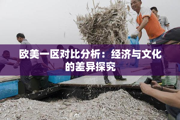 欧美一区对比分析：经济与文化的差异探究
