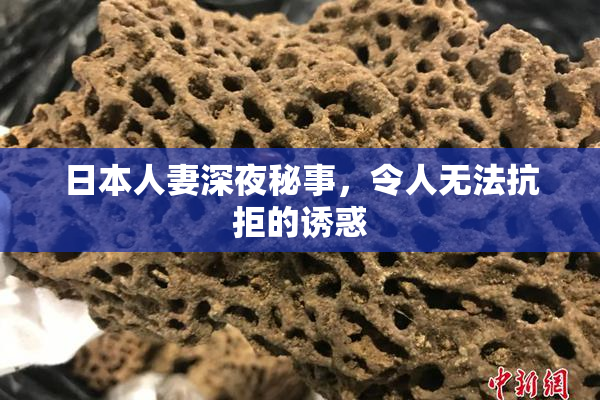 日本人妻深夜秘事，令人无法抗拒的诱惑