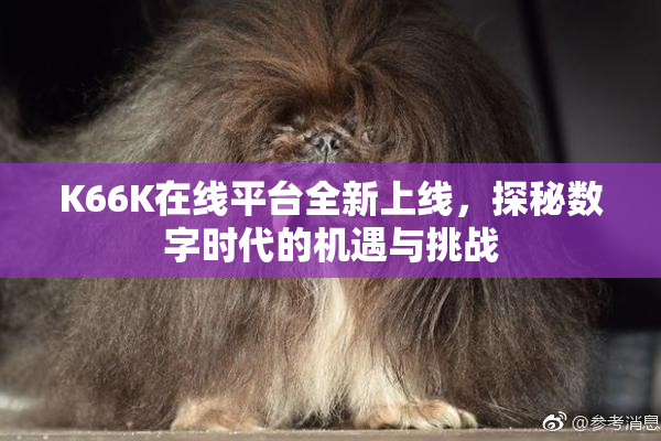 K66K在线平台全新上线，探秘数字时代的机遇与挑战