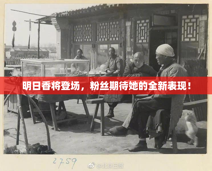 明日香将登场，粉丝期待她的全新表现！