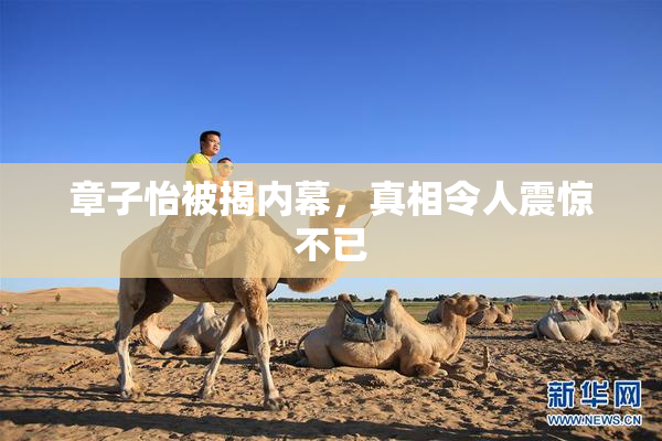 章子怡被揭内幕，真相令人震惊不已