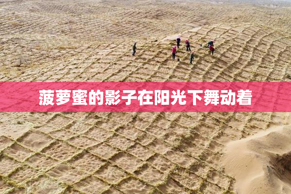 菠萝蜜的影子在阳光下舞动着