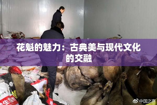 花魁的魅力：古典美与现代文化的交融