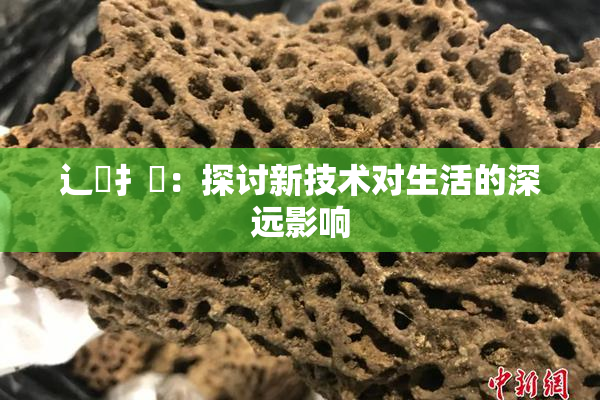 辶喿扌畐：探讨新技术对生活的深远影响