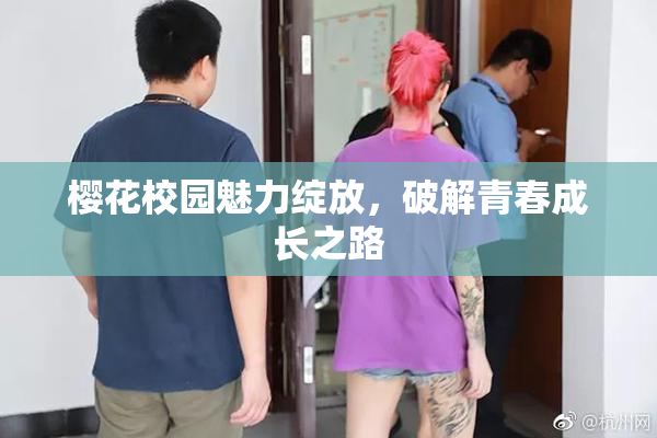 樱花校园魅力绽放，破解青春成长之路