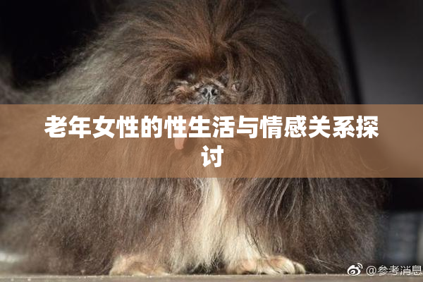 老年女性的性生活与情感关系探讨