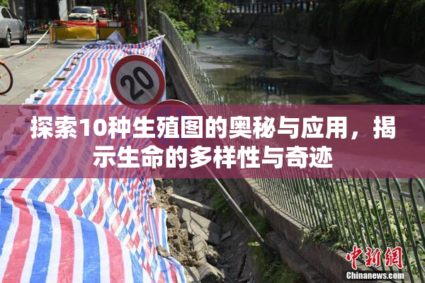 探索10种生殖图的奥秘与应用，揭示生命的多样性与奇迹