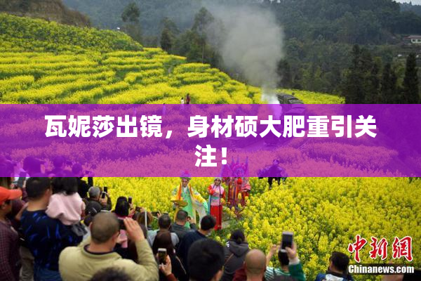 瓦妮莎出镜，身材硕大肥重引关注！