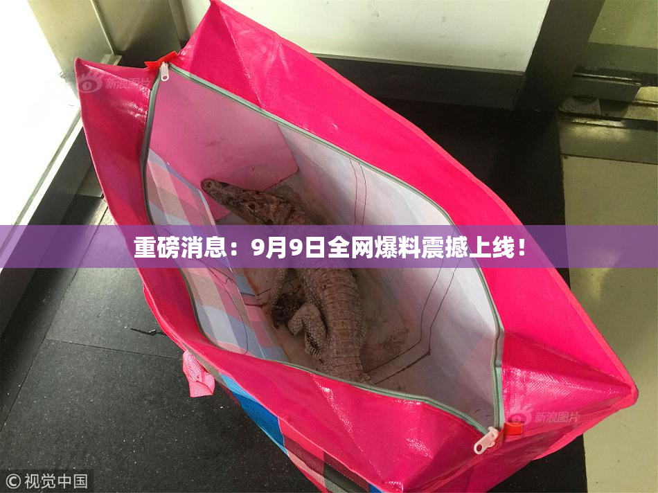 重磅消息：9月9日全网爆料震撼上线！