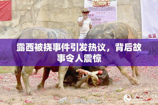 露西被挠事件引发热议，背后故事令人震惊
