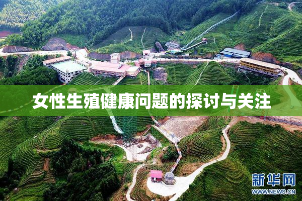 女性生殖健康问题的探讨与关注