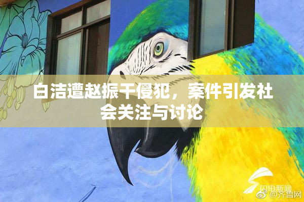 白洁遭赵振干侵犯，案件引发社会关注与讨论