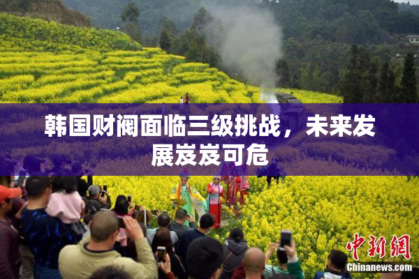 韩国财阀面临三级挑战，未来发展岌岌可危