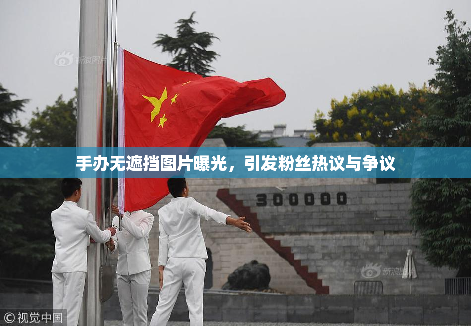 手办无遮挡图片曝光，引发粉丝热议与争议