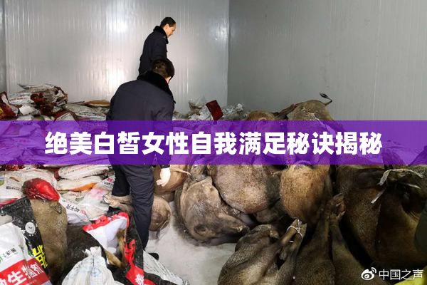绝美白皙女性自我满足秘诀揭秘