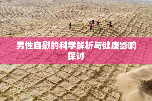 男性自慰的科学解析与健康影响探讨