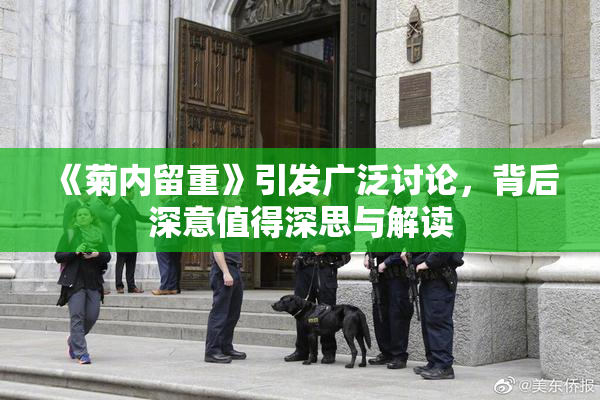 《菊内留重》引发广泛讨论，背后深意值得深思与解读