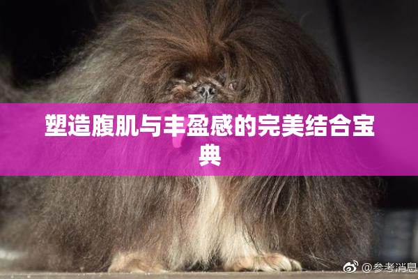 塑造腹肌与丰盈感的完美结合宝典