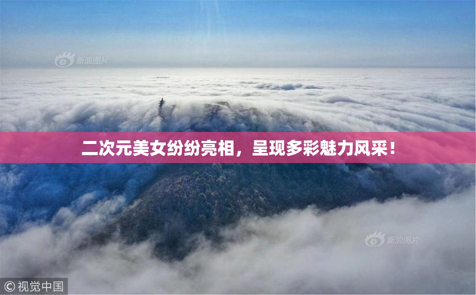 二次元美女纷纷亮相，呈现多彩魅力风采！