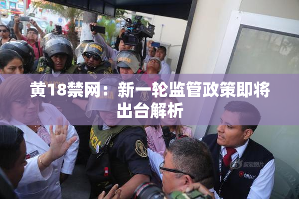黄18禁网：新一轮监管政策即将出台解析