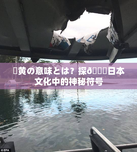 ✿黄の意味とは？探🌃日本文化中的神秘符号