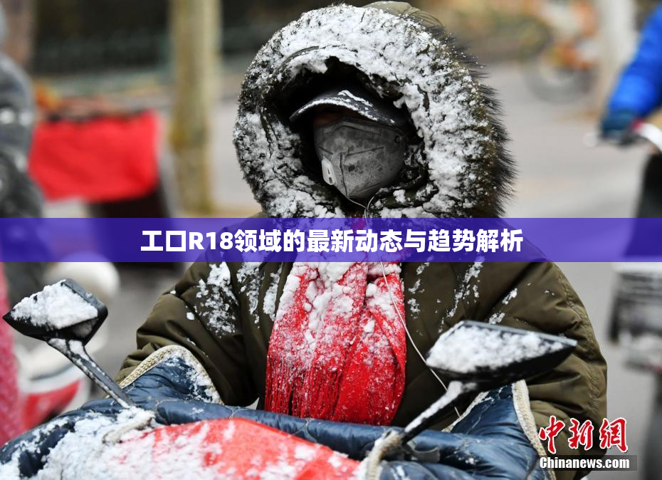 工口R18领域的最新动态与趋势解析