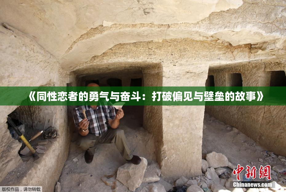《同性恋者的勇气与奋斗：打破偏见与壁垒的故事》