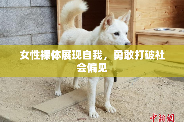 女性裸体展现自我，勇敢打破社会偏见