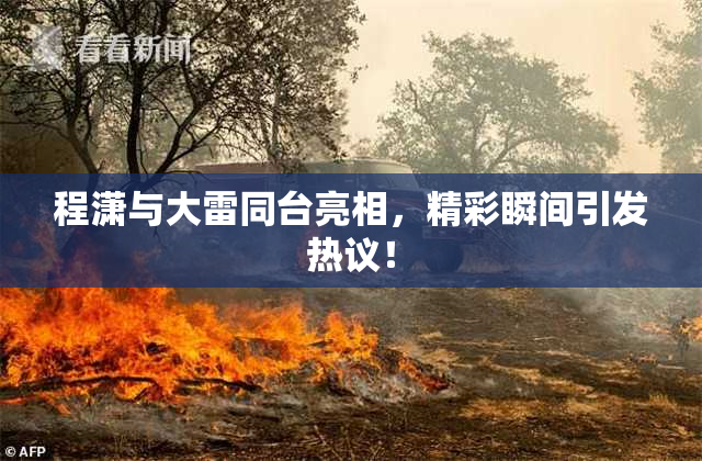 程潇与大雷同台亮相，精彩瞬间引发热议！