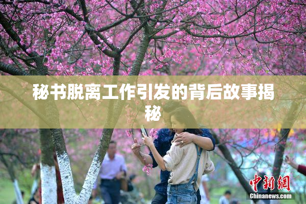 秘书脱离工作引发的背后故事揭秘