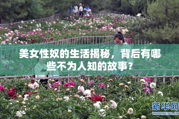 美女性奴的生活揭秘，背后有哪些不为人知的故事？