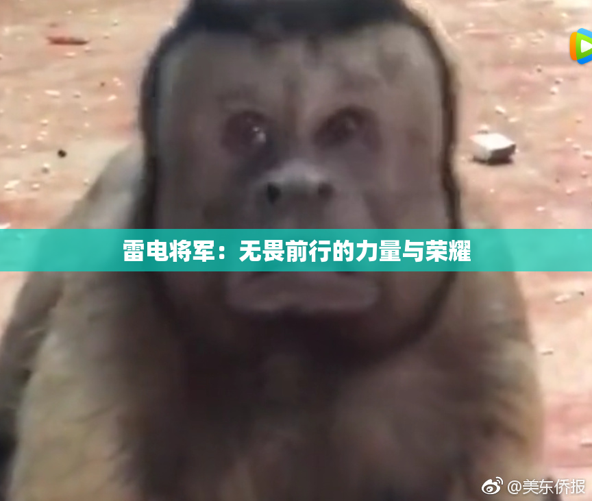雷电将军：无畏前行的力量与荣耀