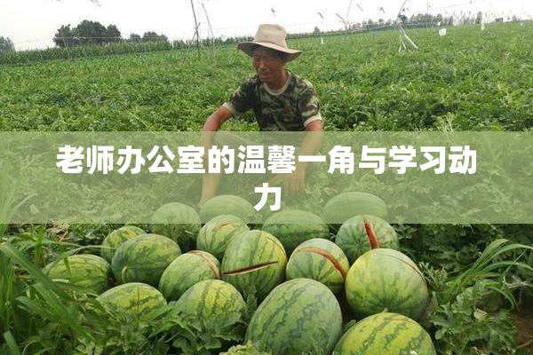 老师办公室的温馨一角与学习动力