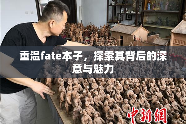 重温fate本子，探索其背后的深意与魅力