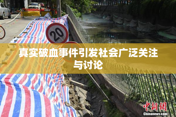 真实破血事件引发社会广泛关注与讨论