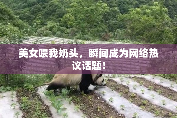 美女喂我奶头，瞬间成为网络热议话题！